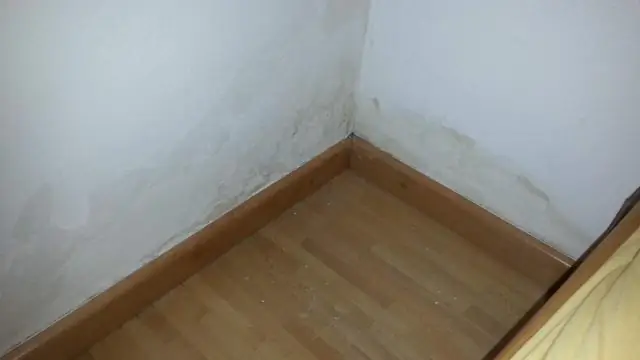 Стабильно ли Rising Air?