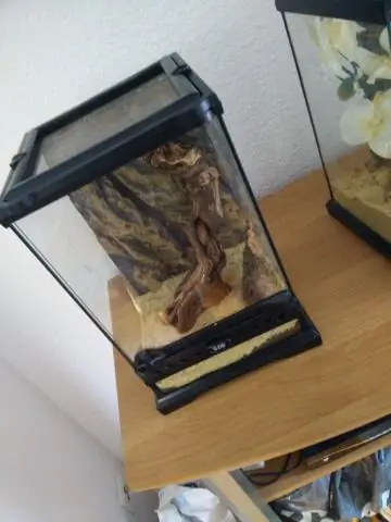 Сколько тепла может производить тепловая лампа?