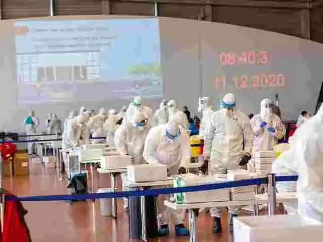 Как проращивать семена живокости?