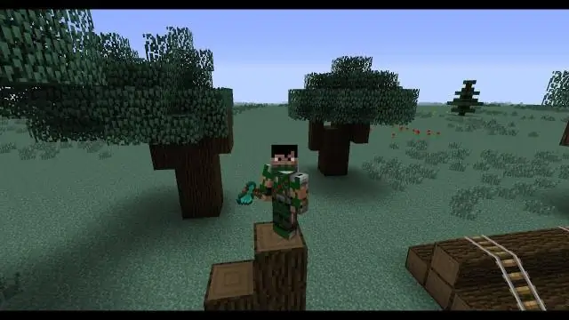 Как вы сажаете Hebes?