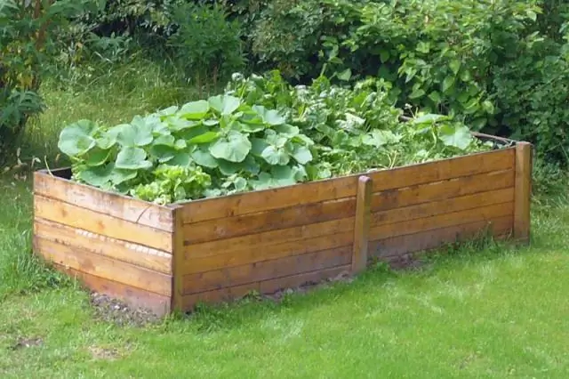 Какая почва нравится болгарскому перцу?