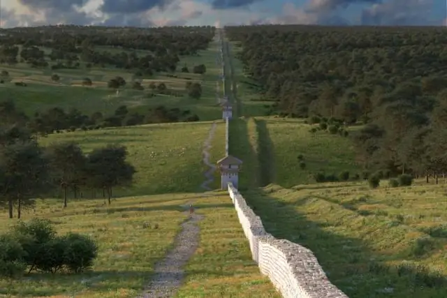 Как установить кедровый сайдинг T&G?