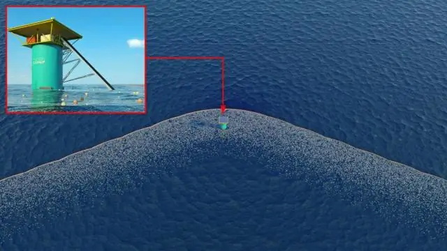 Как удалить морковные пятна с ковра?