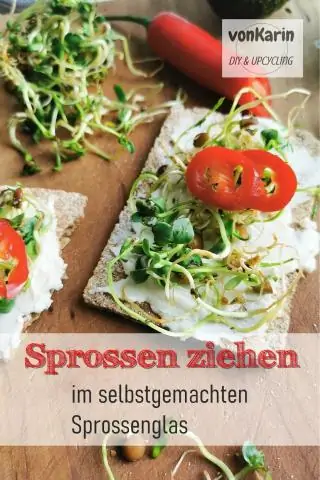 Как вырастить космос из семян?