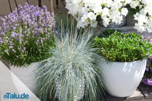 Насколько далеко друг от друга следует расположить космос?