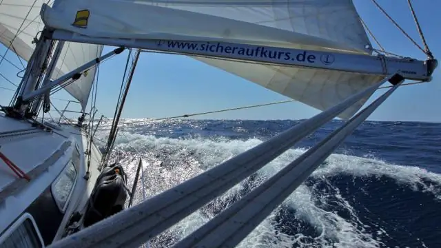 Сколько стоит получить дерево?