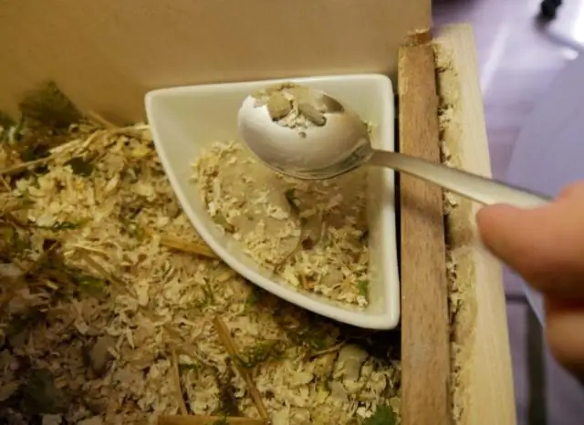 Стоит ли писать на цитрусовые деревья?