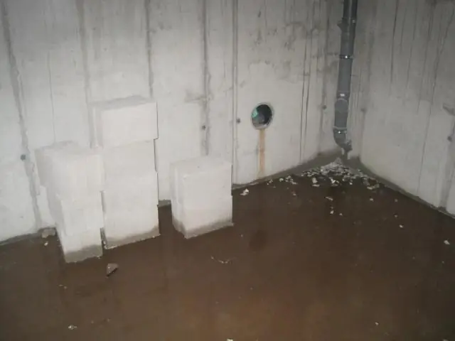 Должна ли быть стоячая вода в сливе в подвальном этаже?