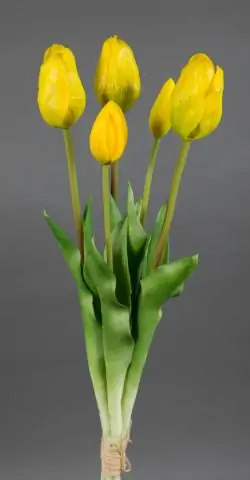 Какие искусственные цветы самые лучшие?