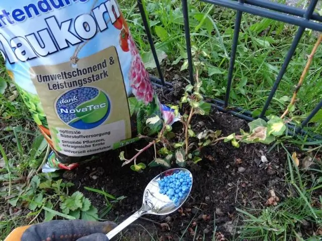Могу ли я растворить гранулированное удобрение в воде?
