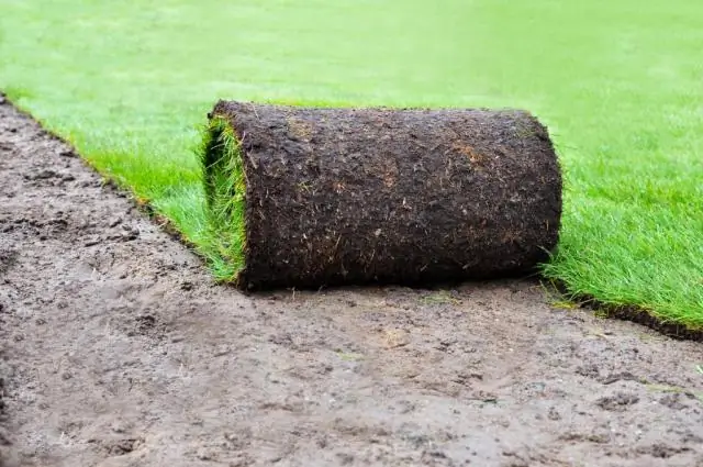 Безопасно ли средство Ringer Lawn Restore для домашних животных?