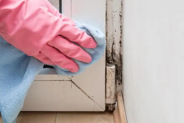 Могу ли я использовать Mold Armor на дереве?