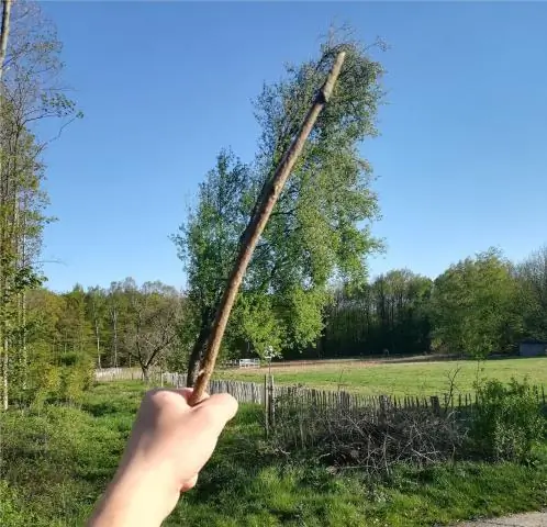 Насколько высокое маленькое дерево?