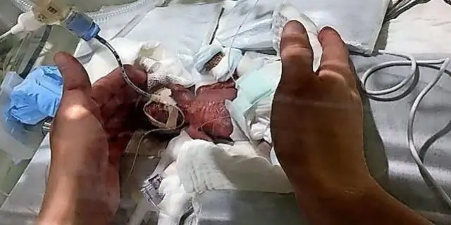 Сколько весит дверь патио?