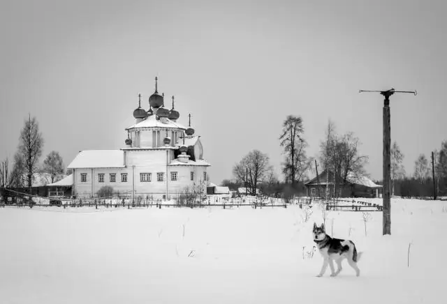 Почему старые дома воняют?