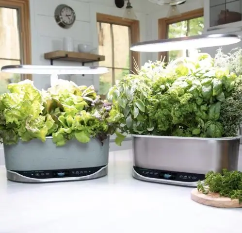 Что можно выращивать в AeroGarden?