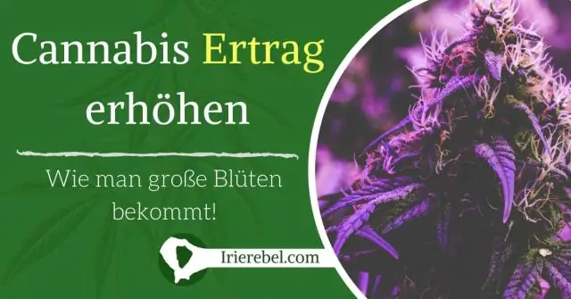 Что есть в Miracle Grow?
