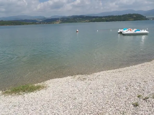 Сколько воды впитывает дерево за день?