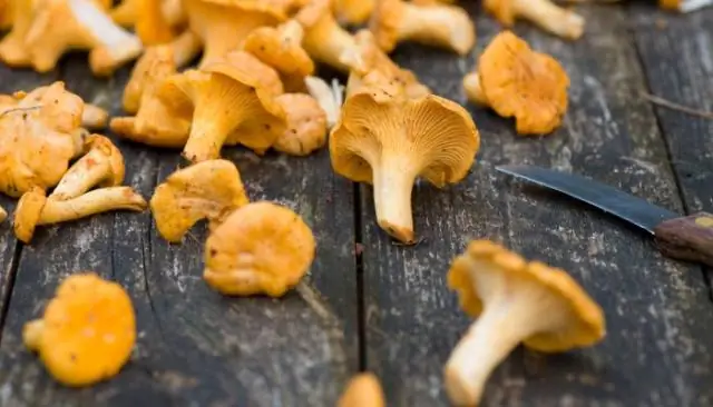 Как удалить мох с асфальта?