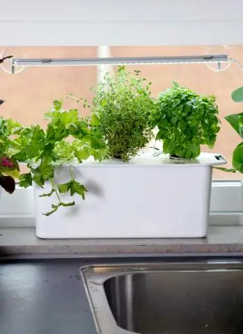 Нужен ли гидропонике солнечный свет?