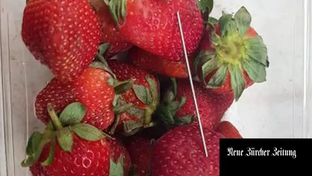 Растет ли клубника в Австралии?