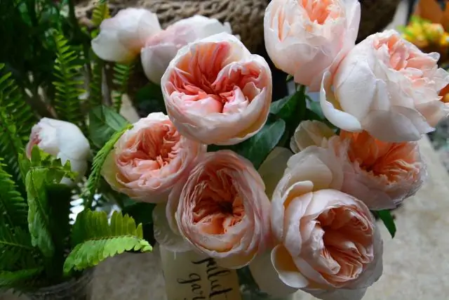 Какой самый дорогой цветок в мире?