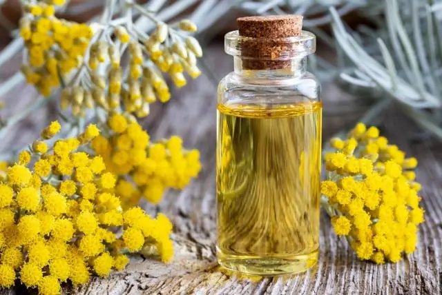 Какие фрукты и овощи можно выращивать в горшках?