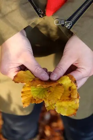 Какой цвет лучше всего подойдет для кухни с белыми шкафами?