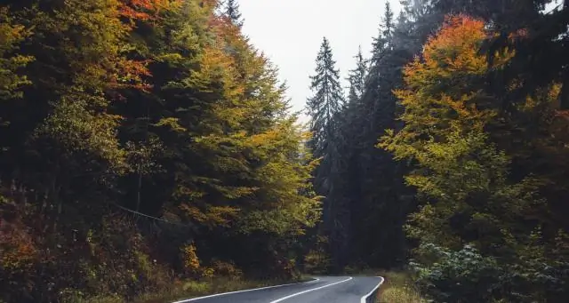 Когда лучше укутывать деревья на зиму?