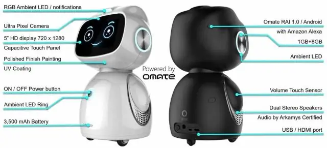 Считается ли Алекса роботом?