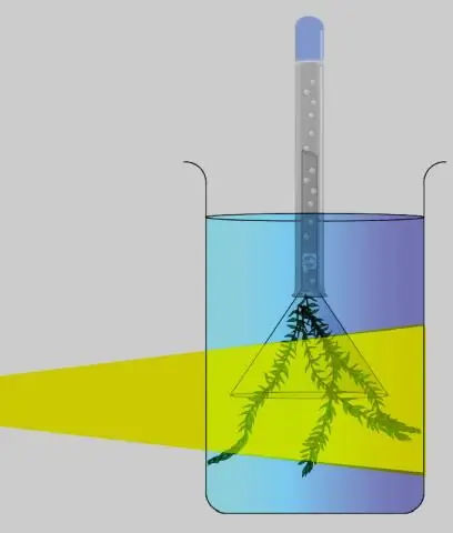 Как вы могли поставить эксперимент, чтобы показать свидетельства испарения?