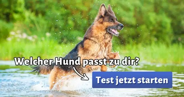 Какой лучший пылесос для сухой и влажной уборки?