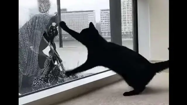 Что такое стеклоомыватель?