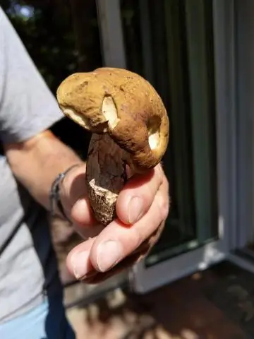 Сколько БТЕ в типичном газовом камине?