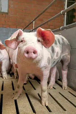 Сколько стоит пропановый проточный водонагреватель?