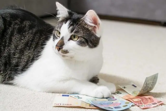 Сколько стоит кусок ковра?