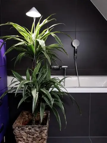 Подходит ли Miracle Grow для нокаутных роз?