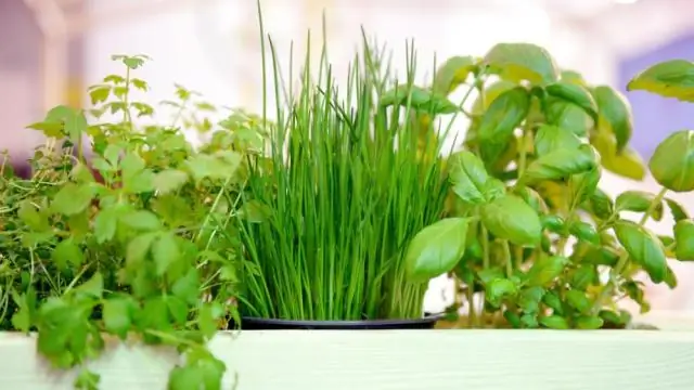 Может ли временный матрас замерзнуть?