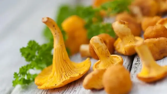 Где растет розмеллоу?