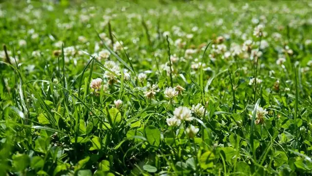 На каком уровне мне следует установить газонокосилку?