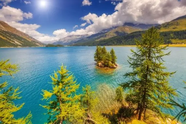 Можно ли сейчас сажать клумбы?