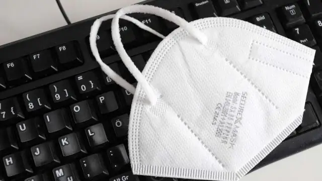 Насколько высоки растут комнатные пальмы величественности?