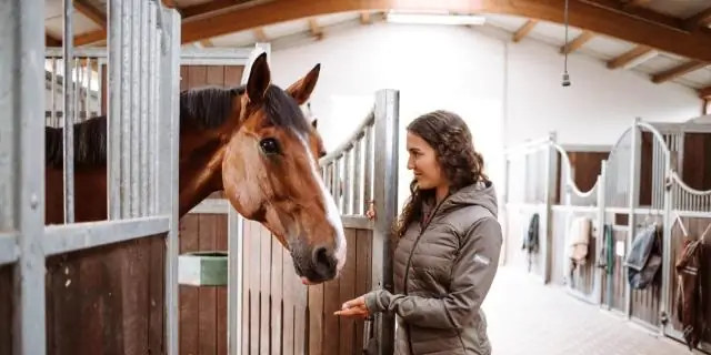 Сколько стоит электрический забор для лошадей?