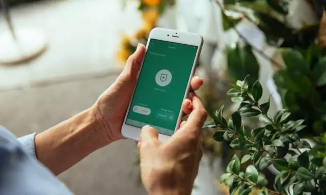 Google Home работает с vivint?