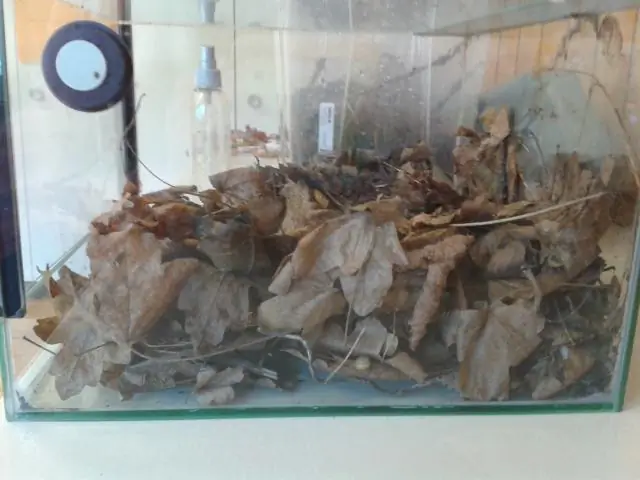 Можно ли иметь два водонагревателя без резервуара?