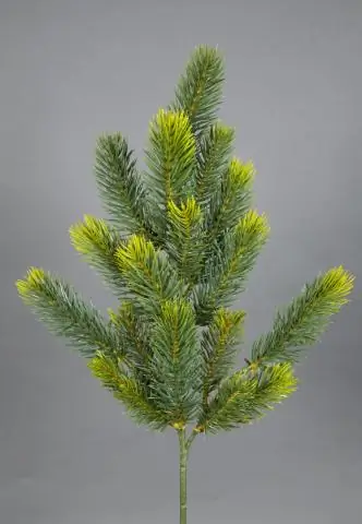 Как долго длится общий цикл упражнений?