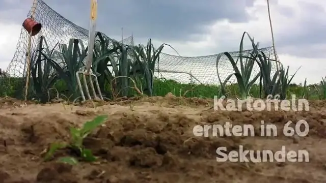 Как убить сорняки фиолетовыми цветами?