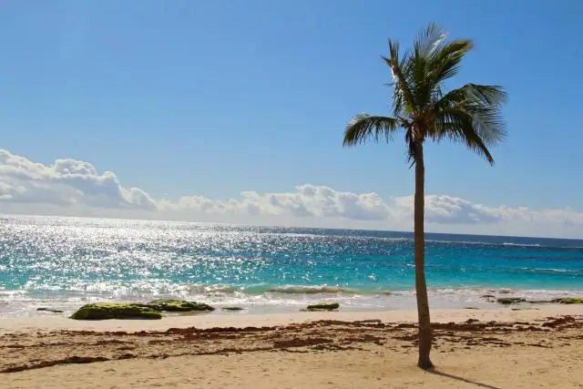 Как пользоваться паровым утюгом Hamilton Beach?