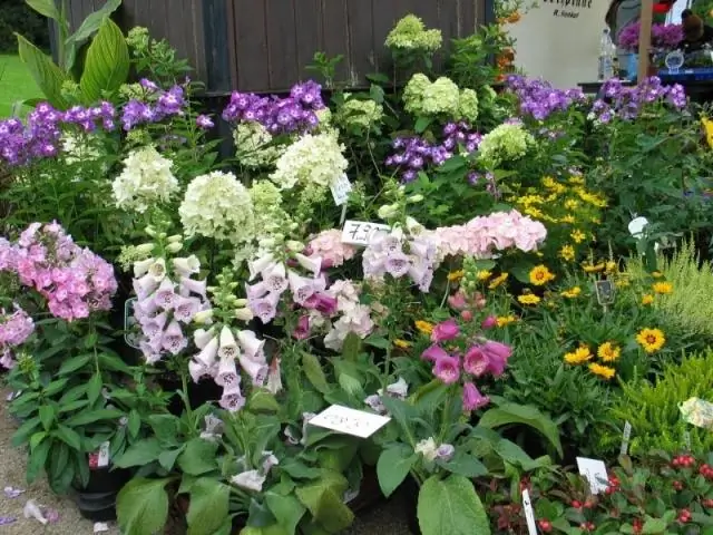 Сколько стоит установка кирпичных полов?