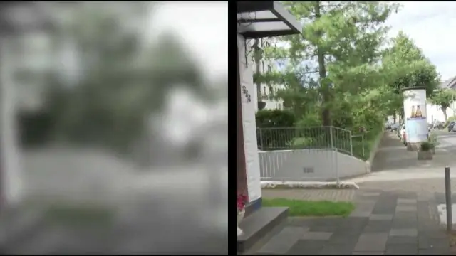 Как выглядит жакет из роз?